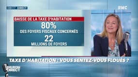 Comment se renseigner sur la taxe d'habitation ?  Me Isabelle Savier-Pluyette: "Sur le site impots.gouv.fr, les contribuables peuvent voir quel est l'impact pour cette année, pour l'année prochaine et pour 2020."