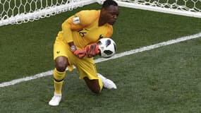 Steve Mandanda