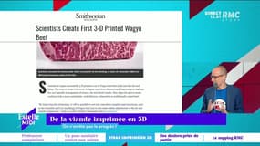 C’est quoi le progrès ? : De la viande imprimée en 3D - 10/09