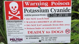 Il est accusé d'avoir empoisonné sa femme avec du cyanure de potassium, une molécule mortelle (image d'illustration)