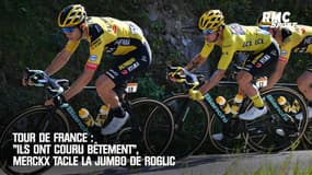 Tour de France : "Ils ont couru bêtement", Merckx tacle la Jumbo de Roglic