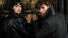 Eddie Redmayne et Katherine Waterston