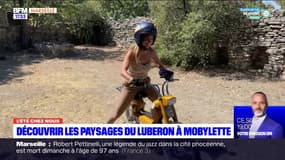 L'été chez nous: découvrir les paysages du Luberon à mobylette