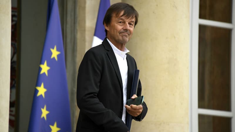 Nicolas Hulot, le 11 juillet 2018 sur le perron de l'Elysée.