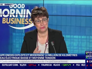 Marianne Laigneau (Enedis) : Le groupe exploite 1,4 million de kilomètres de réseau électrique - 11/06