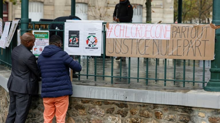 Manifestation en soutien aux victimes du chlordécone aux Antilles, le 28 octobre 2023, à Paris