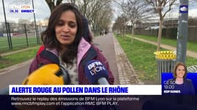 Allergies: alerte rouge aux pollens de noisetier et d'aulne dans le Rhône