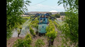 Pesticides dans les vignes: l'inquiétude des riverains