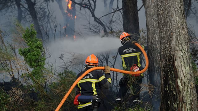 Les pompiers à l'oeuvre dans la commune de Saint Cannat, dans les environs d'Aix-en-Provence, le 15 juillet 2017