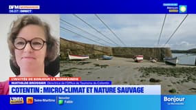 Tourisme: le Cotentin tire son épingle du jeu grâce à la douceur de son début d'été