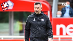 PSG - Lille : "Continuer sur les mêmes bases", Piquionne voit Gourvennec dans les pas de Galtier