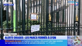 Lyon: les parcs fermés à cause du risque d'orages 