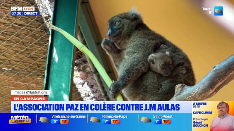 L'association Paz en colère contre Jean-Michel Aulas