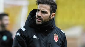 Cesc Fabregas