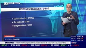 Blablacar, Doctolib, Deezer, Mirakl: qui sont les licornes françaises? 