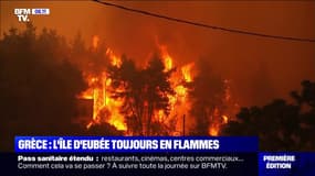 Incendies en Grèce: l'île d'Eubée toujours en proie aux flammes