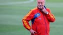 Vicente Del Bosque