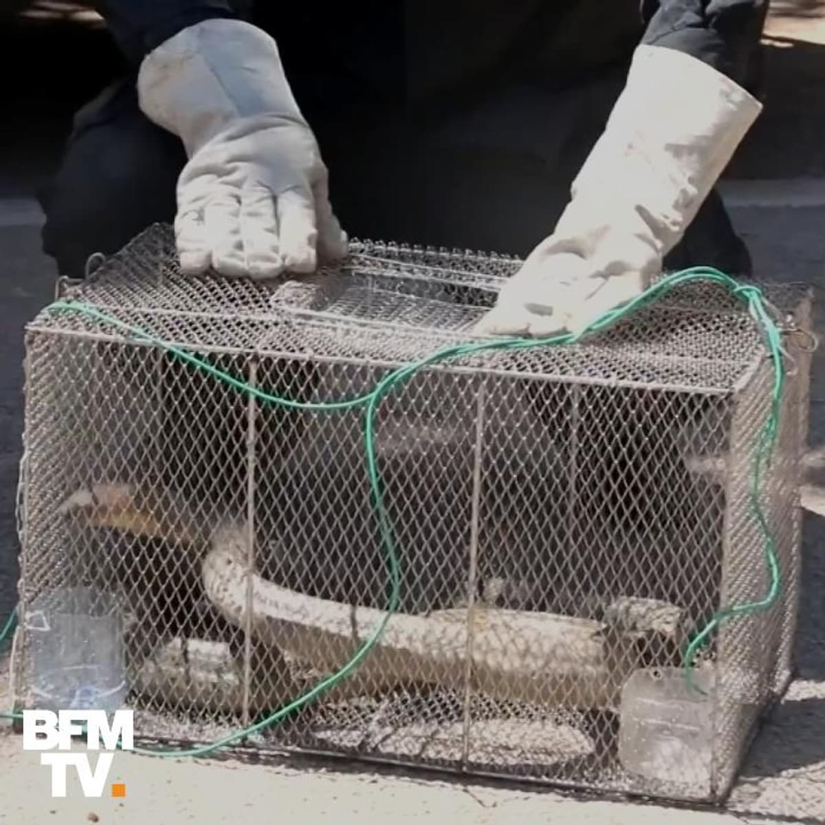 placeholder video