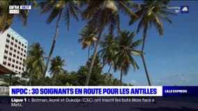 Hauts-de-France: 30 soignants en route pour les Antilles pour aider les hôpitaux