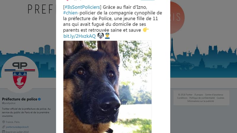 Izno, chien de la préfecture de police de Paris.