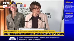 Dermatose bovine: le fonds d'indemnisation doublé à 22 millions d'euros destiné aux éleveurs