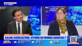 Salon de l'agriculture: la vitrine du monde agricole? 