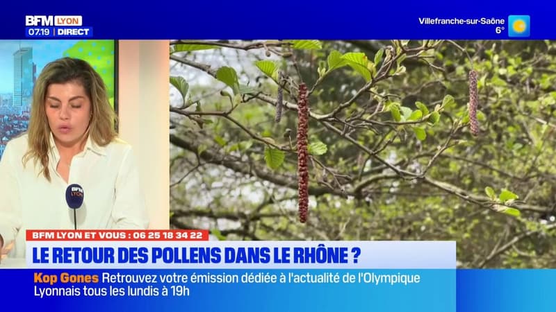 BFM Lyon et Vous: le retour des pollens dans le Rhône?