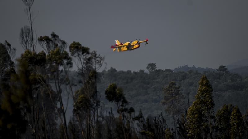 Portugal: un avion de combat contre les incendies s'est écrasé, le pilote est mort