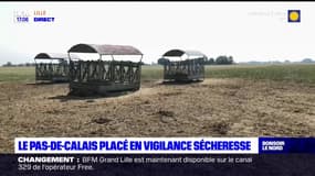 Le Pas-de-Calais placé en vigilance sécheresse