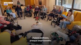 Sacré Lyonnais : lire et sourire, l'organisme qui rapproche de la lecture