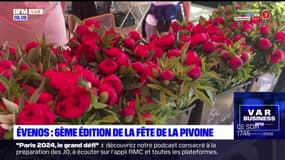 Var: 6e édition de la fête de la pivoine à Evenos 