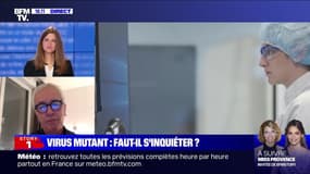 Story 4 : Faut-il s'inquiéter du virus mutant ? - 21/12