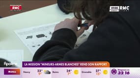 La mission "mineurs-armes blanches" rend son rapport