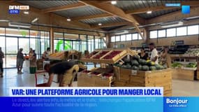 Puget-sur-Argens: une plateforme agricole pour manger local