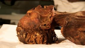 3000 ans plus tard, le mystère de la "momie hurlante" enfin dévoilé