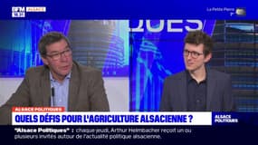 Salon de l'agriculture: Denis Ramspacher, vice-président de la chambre d'agriculture d'Alsace, revient son utilité