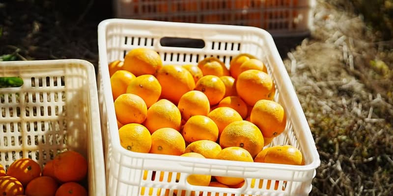 Civilisation écologique dans la province du Jiangxi