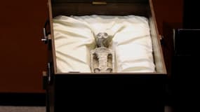 Une pseudo-momie exposée dans l'enceinte du Parlement mexicain le 12 septembre 2023 à Mexico (Mexique).