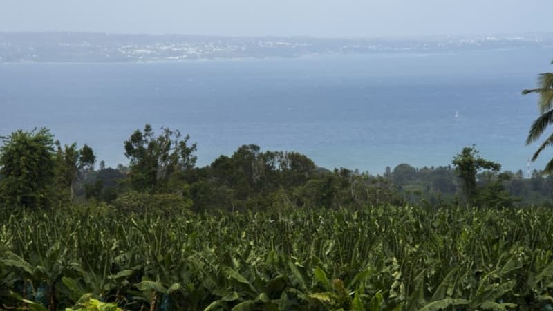 Le prix du carburant détaxé sera gelé pour les pêcheurs en Guadeloupe