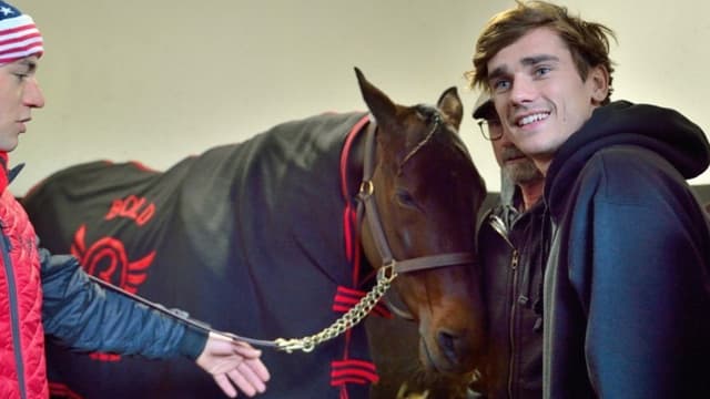 Antoine Griezmann est propriétaire de chevaux de course depuis 2017