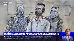 Nordahl Lelandais "s'excuse" devant les parents de Maëlys au premier jour de son procès