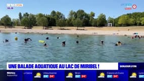 Rhône: une balade aquatique au lac de Miribel