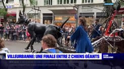 Villeurbanne: une finale entre deux chiens géants