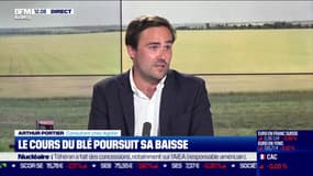 Céréales et agriculture: comment faire évoluer notre modèle ?