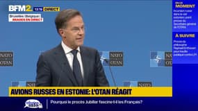 Avions russes en Estonie: "Abattre l'engin n'était pas nécessaire", affirme Mark Rutte (Otan)