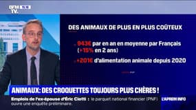 L'alimentation pour les animaux de compagnie n'est pas épargnée par l'inflation