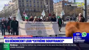 Des agriculteurs des Hautes-Alpes et des Alpes-de-Haute-Provence étaient à Marseille lundi pour dénoncer leur "extrême souffrance"