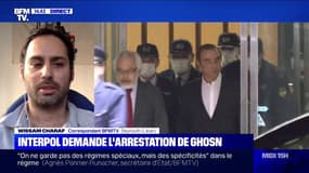 Interpol a lancé un mandat d'arrêt international à l’encontre de Carlos Ghosn