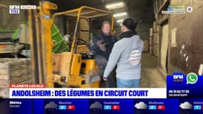 Planète locale du lundi 4 décembre - Andolsheim : des légumes en circuit court 