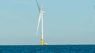 D'une capacité de 500 MW, le futur parc sera composé de 71
éoliennes localisées entre 13 et 22 km au large des côtes de la Manche (Fécamp), pour une mise en service à l'horizon 2023.